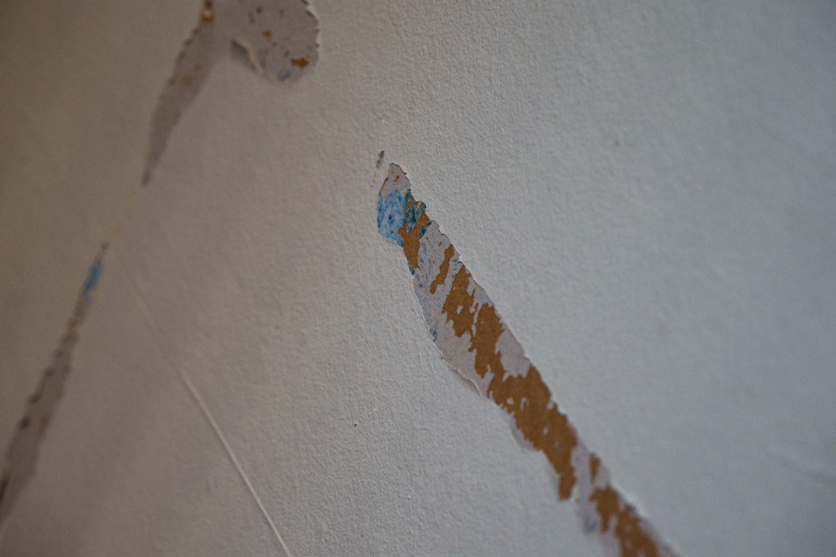 Basement Water Removal service in Cupertino, CA